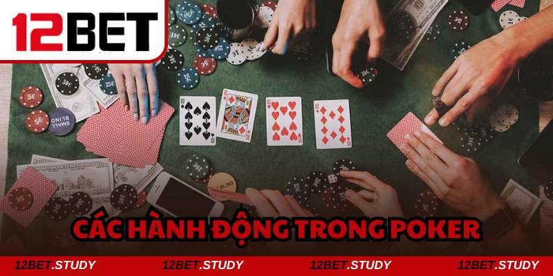 Cần đưa ra hành động phù hợp để nâng cao cơ hội chiến thắng