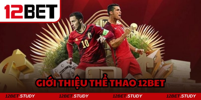 Thể thao 12bet trở thành điểm đến nhiều thành viên lựa chọn